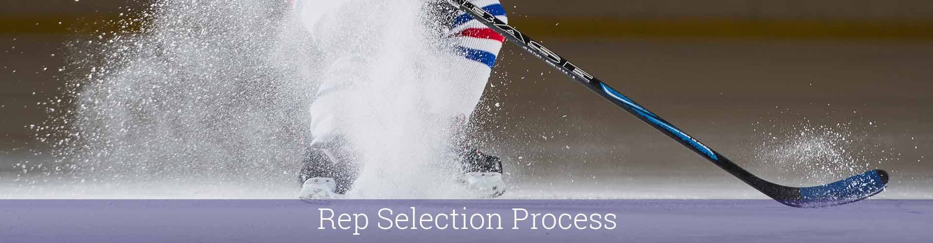 h-repselectionprocess h-repselectionprocess