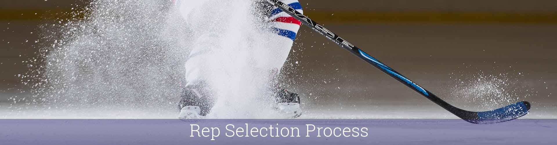 h-repselectionprocess