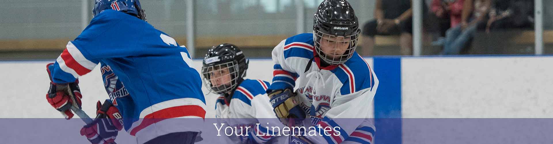 h-tmsn-linemates h-tmsn-linemates