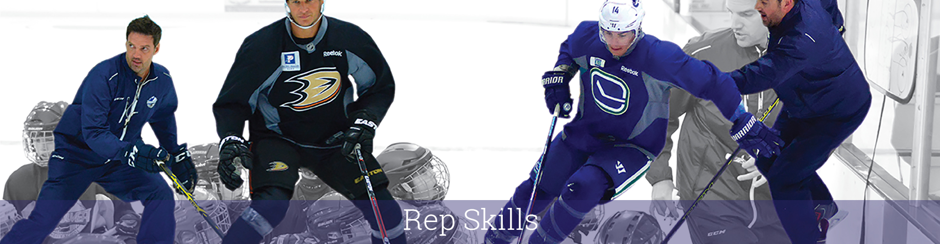 h-repskills h-repskills