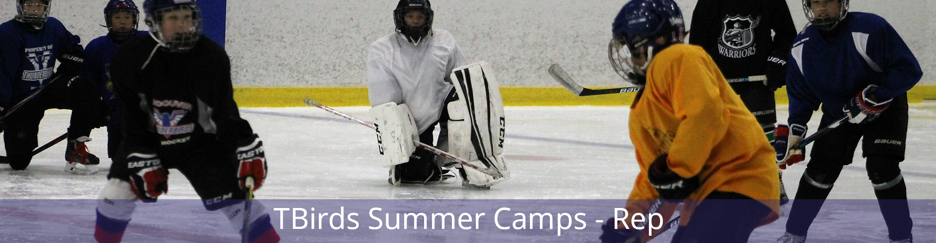 h-2019camps-rep h-2019camps-rep