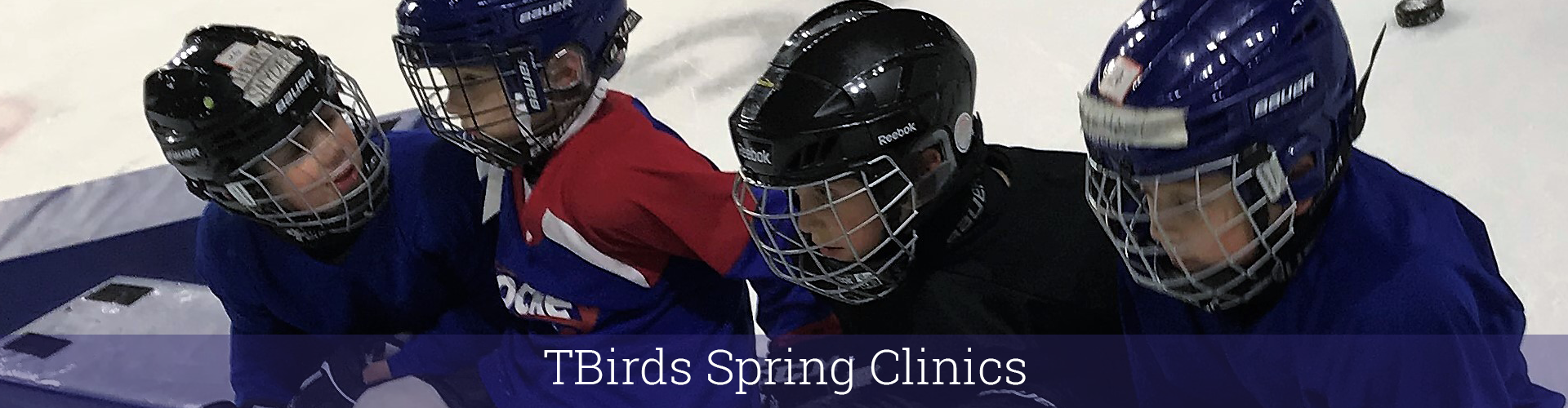h-2021TBirdSpringClinics h-2021TBirdSpringClinics