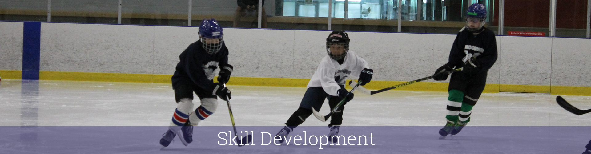 h-skill development