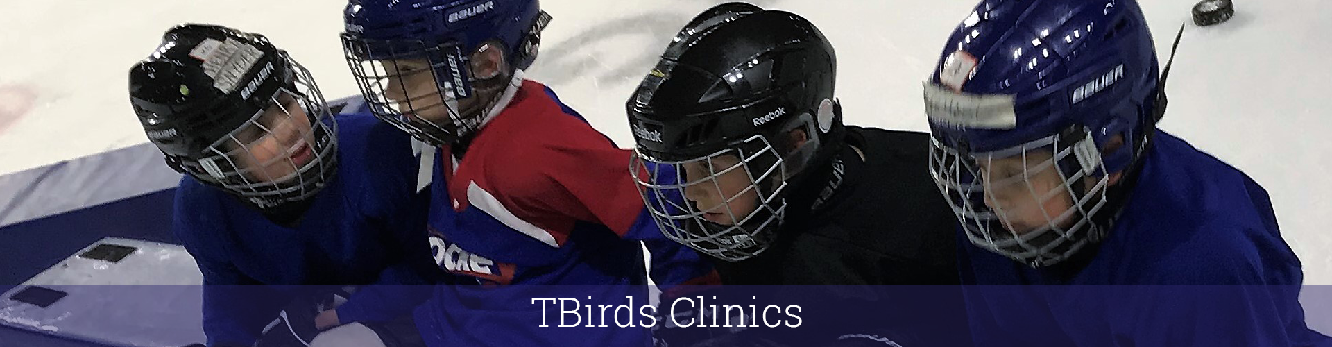 h-TBirdsclinics h-TBirdsclinics